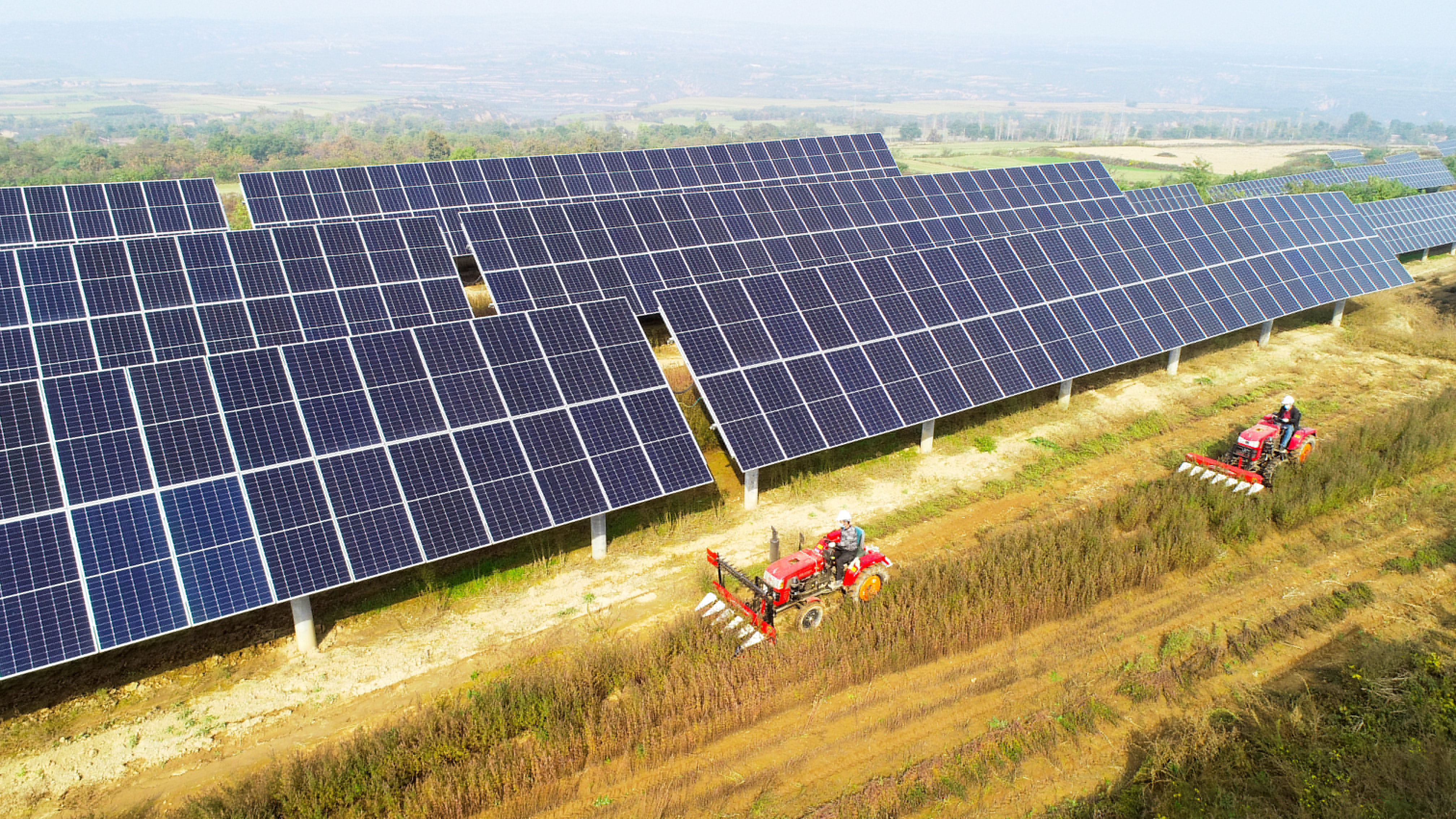 圖3.大唐西安熱電廠永壽高廟山光伏電站進行中草藥收割工作，實現(xiàn)惠農(nóng)共贏.jpg